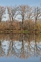 BUITEN BEELD Foto: 148401
