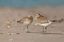 BUITEN BEELD Foto: 148430