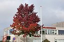 BUITEN BEELD Foto: 148493