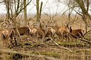 BUITEN BEELD Foto: 148584