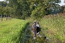 BUITEN BEELD Foto: 148589