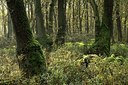 BUITEN BEELD Foto: 148645