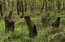 BUITEN BEELD Foto: 148646