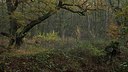 BUITEN BEELD Foto: 148692