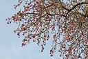 BUITEN BEELD Foto: 148731