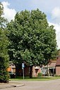 BUITEN BEELD Foto: 148749