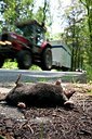 BUITEN BEELD Foto: 148758