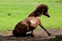 BUITEN BEELD Foto: 148764