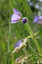 BUITEN BEELD Foto: 148799