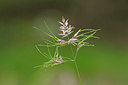 BUITEN BEELD Foto: 148847