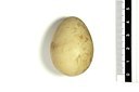 BUITEN BEELD Foto: 148910