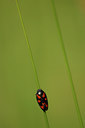BUITEN BEELD Foto: 14110