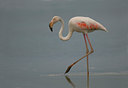 BUITEN BEELD Foto: 14121