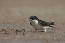 BUITEN BEELD Foto: 14222