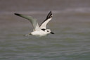 BUITEN BEELD Foto: 14550