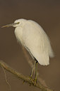 BUITEN BEELD Foto: 14571