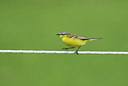 BUITEN BEELD Foto: 14626