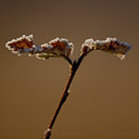 BUITEN BEELD Foto: 14642