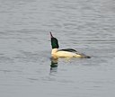 BUITEN BEELD Foto: 14673