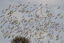 BUITEN BEELD Foto: 14676