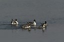 BUITEN BEELD Foto: 14696