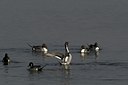 BUITEN BEELD Foto: 14698