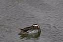 BUITEN BEELD Foto: 14710
