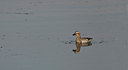 BUITEN BEELD Foto: 14711
