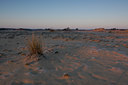BUITEN BEELD Foto: 14765