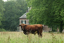 BUITEN BEELD Foto: 14808