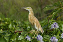 BUITEN BEELD Foto: 14831