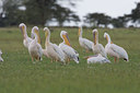BUITEN BEELD Foto: 14838