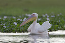 BUITEN BEELD Foto: 14841