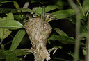 BUITEN BEELD Foto: 14847