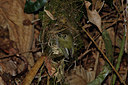 BUITEN BEELD Foto: 14850