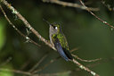 BUITEN BEELD Foto: 14853