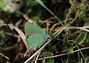 BUITEN BEELD Foto: 14858