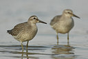 BUITEN BEELD Foto: 14871