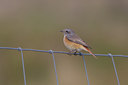 BUITEN BEELD Foto: 14926