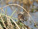 BUITEN BEELD Foto: 14971