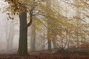 BUITEN BEELD Foto: 149029