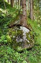 BUITEN BEELD Foto: 149075
