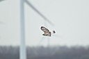 BUITEN BEELD Foto: 149085