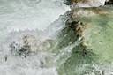 BUITEN BEELD Foto: 149134