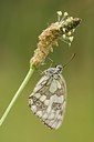 BUITEN BEELD Foto: 149215