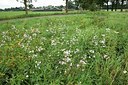 BUITEN BEELD Foto: 149291