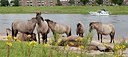 BUITEN BEELD Foto: 149321