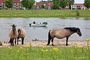 BUITEN BEELD Foto: 149333