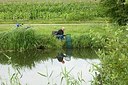BUITEN BEELD Foto: 149395
