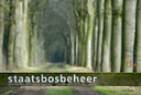 BUITEN BEELD Foto: 149485